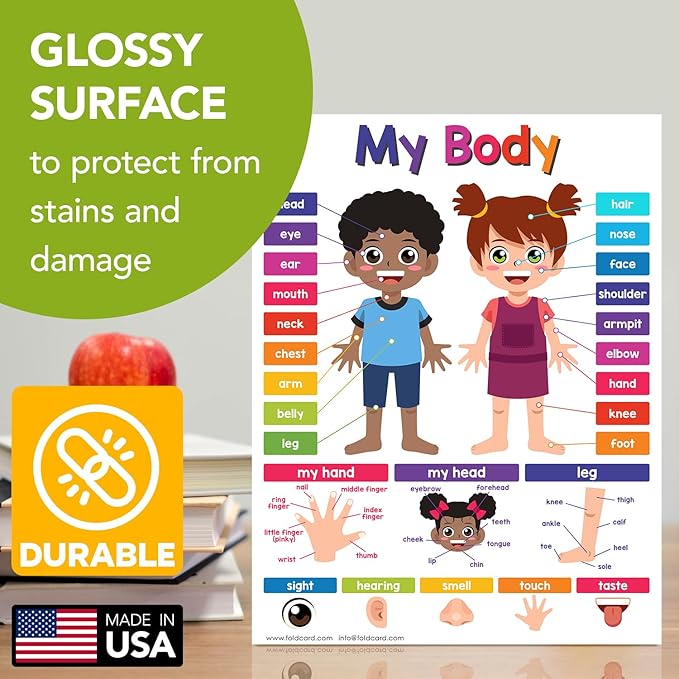 Educational Charts for Preschool to Grade 1 – Bright and Colorful Educational Visual / Learning Aid Wall Art Poster for Classroom or Home | Glossy Durable Cardstock | 8.5" x 11" | 5 per Pack (My Body)