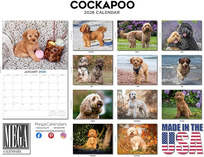 2025 2026 Cockapoo Calendar - Dog Breed Monthly Wall Calendar - 12" x 18" Open - Thick No-Bleed Paper - Giftable - Academic Teacher's Planner Calendar Organizing & Planning - Made in USA
