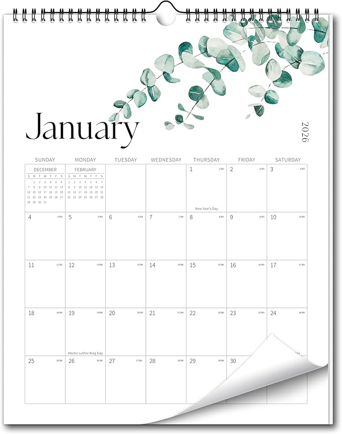 Aesthetic Wall Calendar 2026, 18 Monthly Vertical Calendar January 2026 to June 2027, 15" x 10" Modern Wall Hanging Calendar for School, Home, Office for Monthly Organizing & Planning