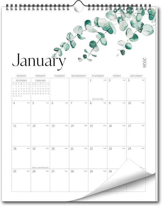 Aesthetic Wall Calendar 2026, 18 Monthly Vertical Calendar January 2026 to June 2027, 15" x 10" Modern Wall Hanging Calendar for School, Home, Office for Monthly Organizing & Planning