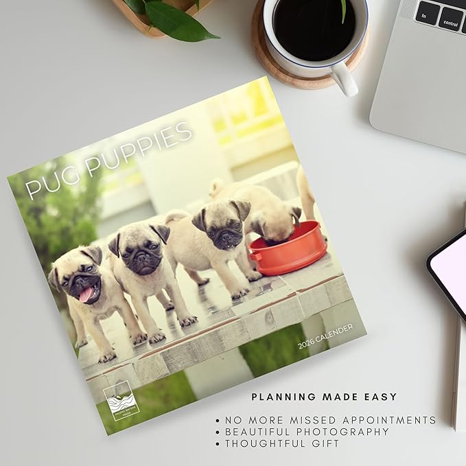 Pug Puppy Wall Calendar 2026| 12" x 24" Open | Dog Calendar Photography Thick & Sturdy Paper for Organizing & Planning | Office Kitchen Decor or Gift | Pacific Waters Press (Pug Puppies)