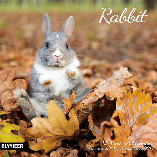 2026 Wall Calendar,Calendar 2026,Rabbit Monthly Wall Calendar, 12" x 24" Open,Family Planner Calendar, Home & Office Organizer,Hangable