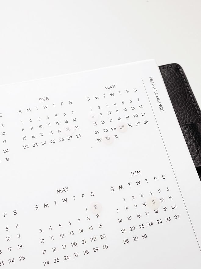Cloth & Paper 2026 Year At A Glance Single Insert Dashboard for Pocket Size 6 Ring Planner - 3.2 x 4.7 Inches | Transparent Vellum, Elegant Annual Calendar Insert for Small Organizers