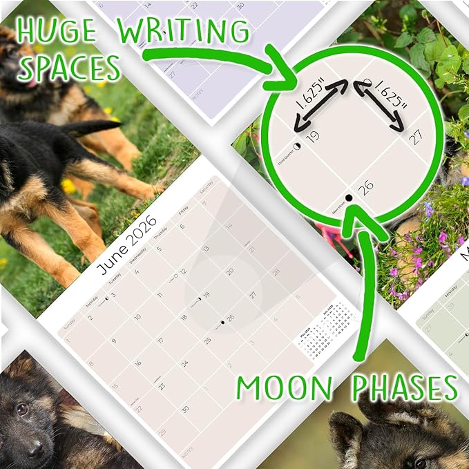 German Shepherd Pups Calendar 2026 by MegaCalendars – Monthly Dog Breed Wall Calendar, Made in USA