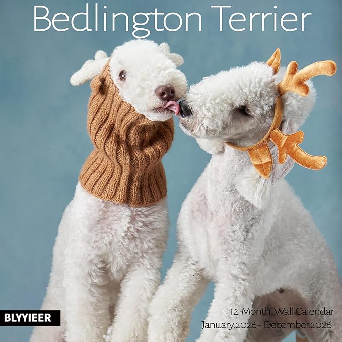 2026 Wall Calendar, Bedlington Terrier Wall Calendar, 12" x 24" Open,Family Planner Calendar, Home & Office Organizer,Hangable, for Dogs Lover