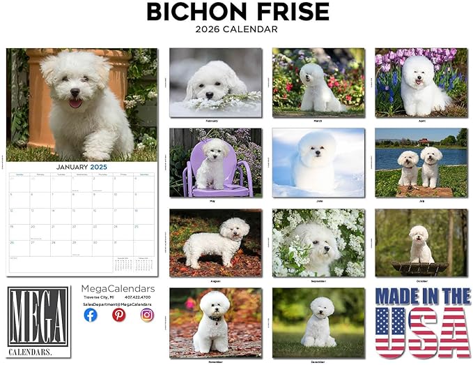 2025 2026 Bichon Frise Calendar - Dog Breed Monthly Wall Calendar - 12" x 18" Open - Thick No-Bleed Paper - Giftable - Academic Teacher's Planner Calendar Organizing & Planning - Made in USA