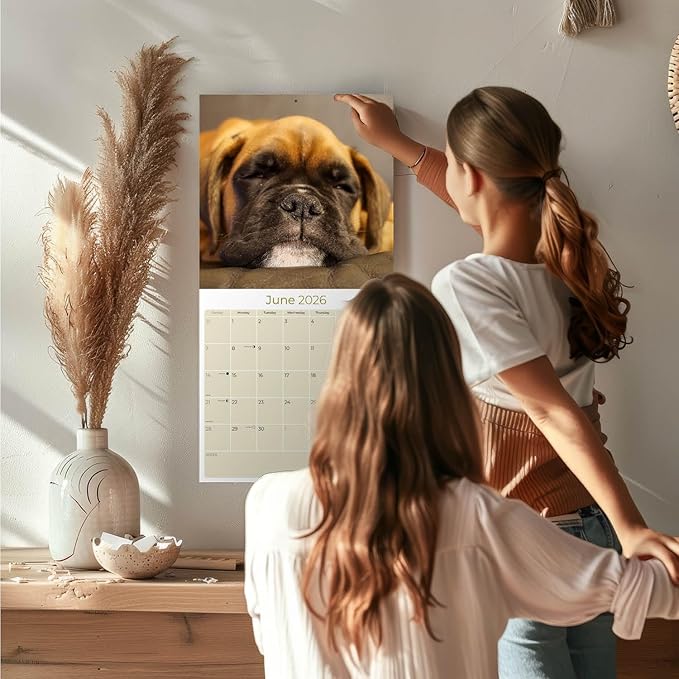 Boxer Puppies Calendar 2026 – 16-Month Dog Breed Wall Calendar by MegaCalendars – Large Daily Blocks, Thick No-Bleed Paper, Made in USA