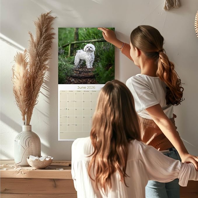 Maltese Calendar 2026 by MegaCalendars – Monthly Dog Breed Wall Calendar, Made in USA