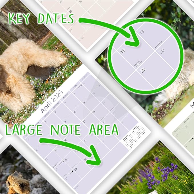 Softcoat Wheaten Terrier Calendar 2026 by MegaCalendars – Monthly Dog Breed Wall Calendar, Made in USA