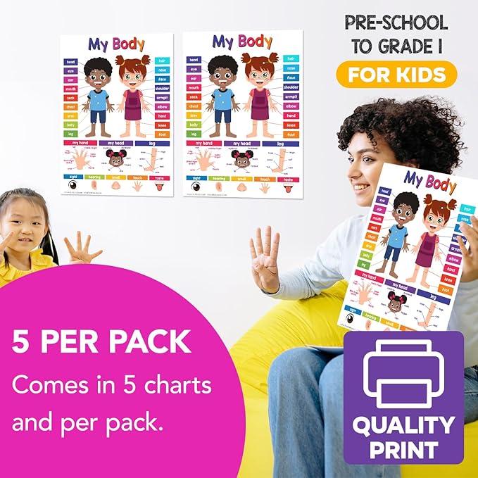 Educational Charts for Preschool to Grade 1 – Bright and Colorful Educational Visual / Learning Aid Wall Art Poster for Classroom or Home | Glossy Durable Cardstock | 8.5" x 11" | 5 per Pack (My Body)