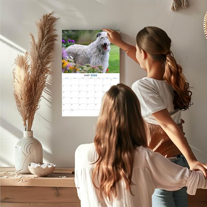 2025 2026 Irish Wolfhound Calendar - Dog Breed Monthly Wall Calendar - 12" x 18" Open - Thick No-Bleed Paper - Giftable - Academic Teacher's Planner Calendar Organizing & Planning - Made in USA
