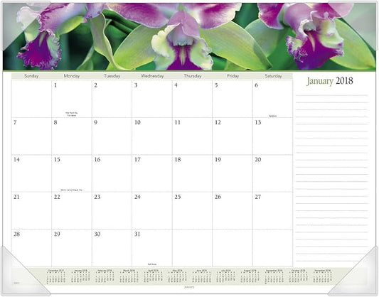 AT-A-GLANCE Monthly Desk Pad Calendar, January 2018 - December 2018, 22" x 17", Panoramic, Floral (89805)