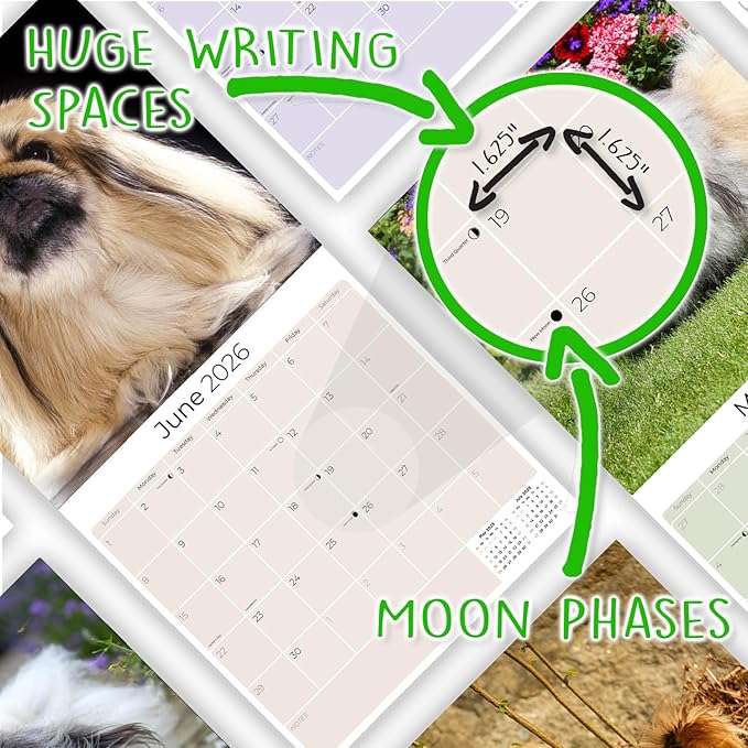 Pekingese Calendar 2026 by MegaCalendars – Monthly Dog Breed Wall Calendar, Made in USA