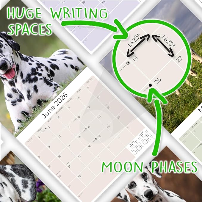 Dalmatian Calendar 2026 by MegaCalendars – Monthly Dog Breed Wall Calendar, Made in USA