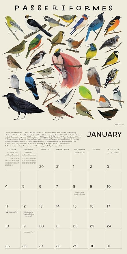 The Illustrated Animal Kingdom 2026 Wall Calendar, 12-Month Animal Art & Nature Calendar by Kelsey Oseid, 12" x 12", Large Grids for Home or Office