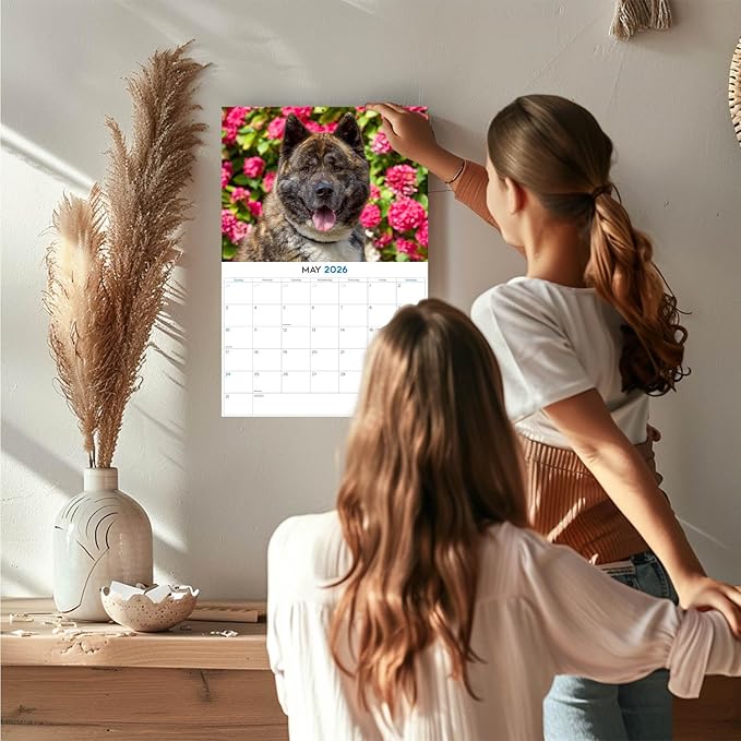 2025 2026 Akita Calendar - Dog Breed Monthly Wall Calendar - 12" x 18" Open - Thick No-Bleed Paper - Giftable - Academic Teacher's Planner Calendar Organizing & Planning - Made in USA