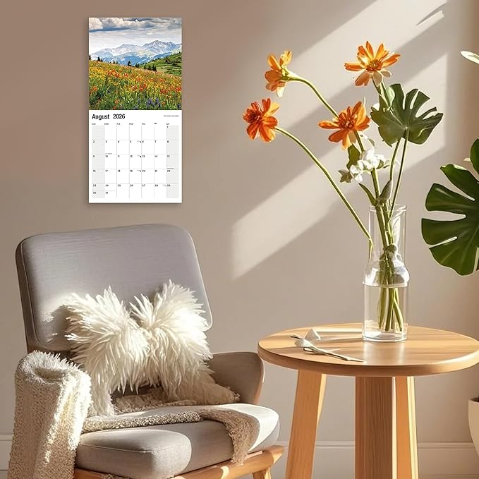 Wall Calendar 2026 Planner Calendar - Brilliant Seasons Hangable Monthly Wall Calendar with Large Blocks for Organizing & Planning, Academic Schedule, Home, Office & family, Thick & Sturdy Paper (12"x24" Open)