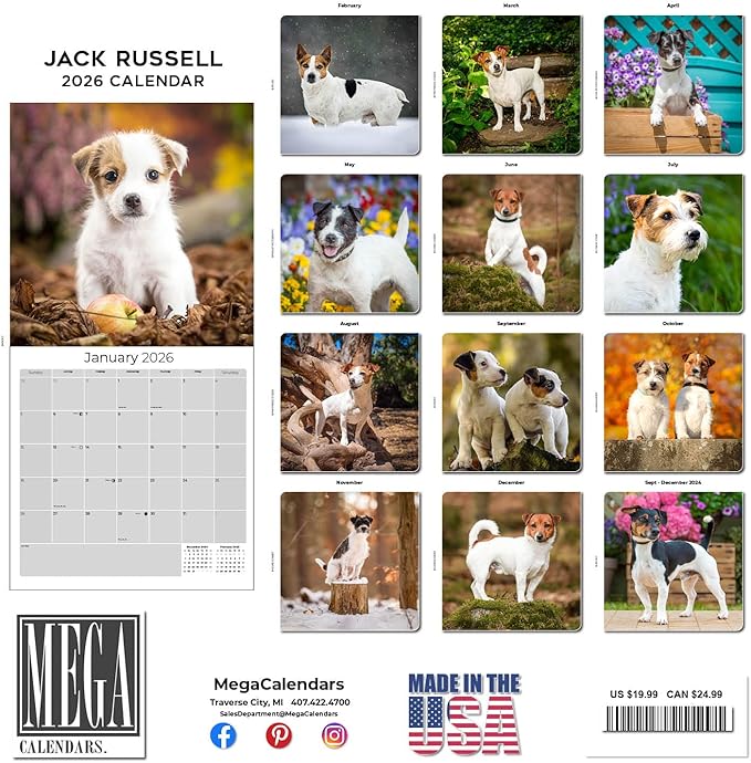 Jack Russell Calendar 2026 by MegaCalendars – Monthly Dog Breed Wall Calendar, Made in USA