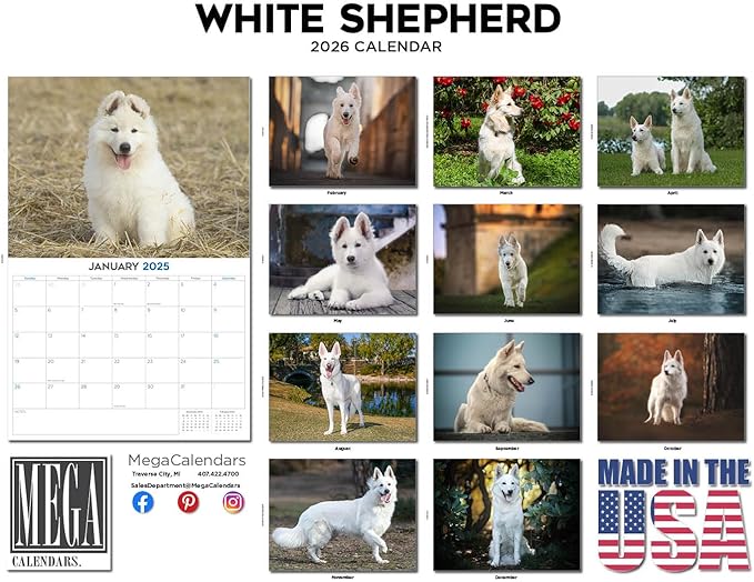 2025 2026 White Shepherd Calendar - Dog Breed Monthly Wall Calendar - 12" x 18" Open - Thick No-Bleed Paper - Giftable - Academic Teacher's Planner Calendar Organizing & Planning