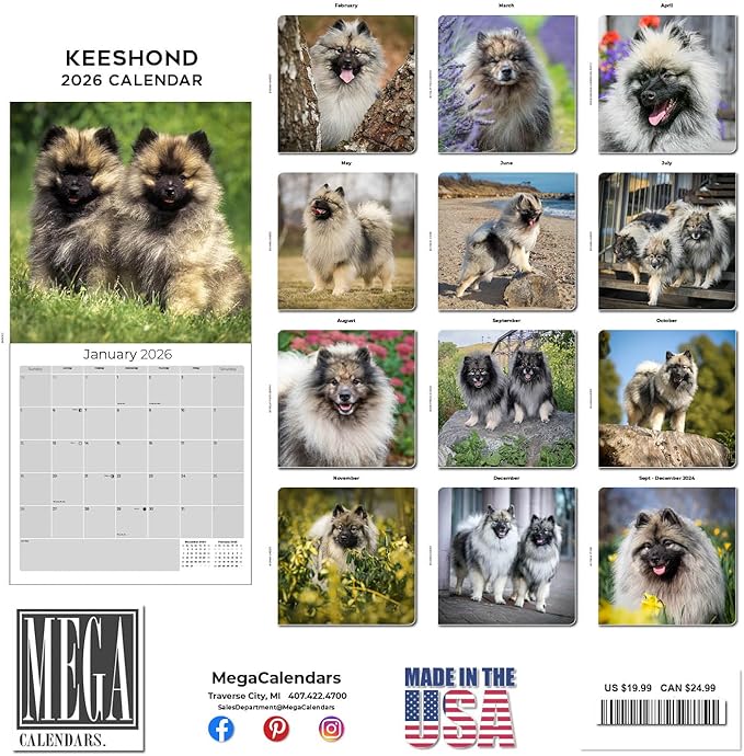 Keeshond Calendar 2026 by MegaCalendars – Monthly Dog Breed Wall Calendar, Made in USA