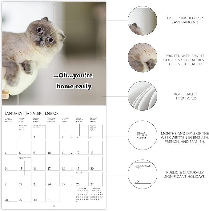 Graphique 2024 Nuthin' But Trouble Mini Wall Calendar | 7” x 7” | Thick Paper | Home & Office Organizer | Large Monthly Grid | 3 Languages & Marked Holidays | 4 Month Preview Page for 2025