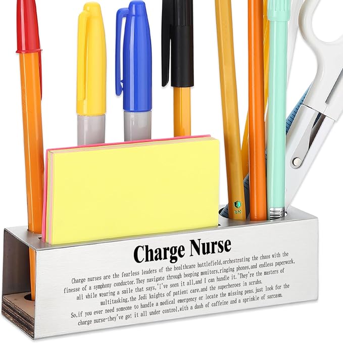 Funny Charge Nurse Appreciation Gift for Head Nurses Healthcare Leaders, Nurse Office Décor for Hospital Workstations, Medical Professional Humor Gift, office Pencil Holder Desk for Desk SD280