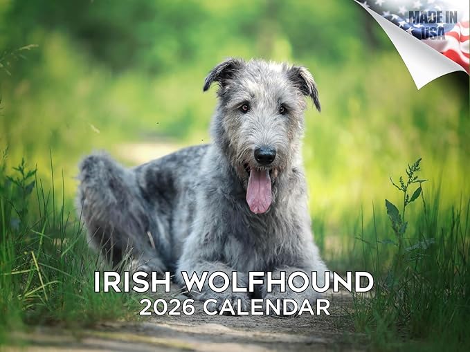 2025 2026 Irish Wolfhound Calendar - Dog Breed Monthly Wall Calendar - 12" x 18" Open - Thick No-Bleed Paper - Giftable - Academic Teacher's Planner Calendar Organizing & Planning - Made in USA