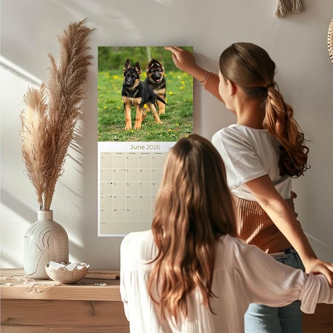 German Shepherd Pups Calendar 2026 by MegaCalendars – Monthly Dog Breed Wall Calendar, Made in USA
