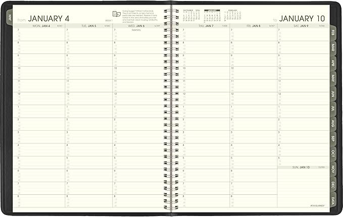 AT-A-GLANCE 2027 Appointment Book Planner, Weekly & Monthly, 8.25" x 11", Quarter-Hourly, Recycled, Black (70950G0527)