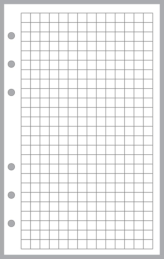 Compact Size Graph Paper Refill, Sized and Punched for Franklin Covey Compact and Other Notebooks (4.25" x 6.75")