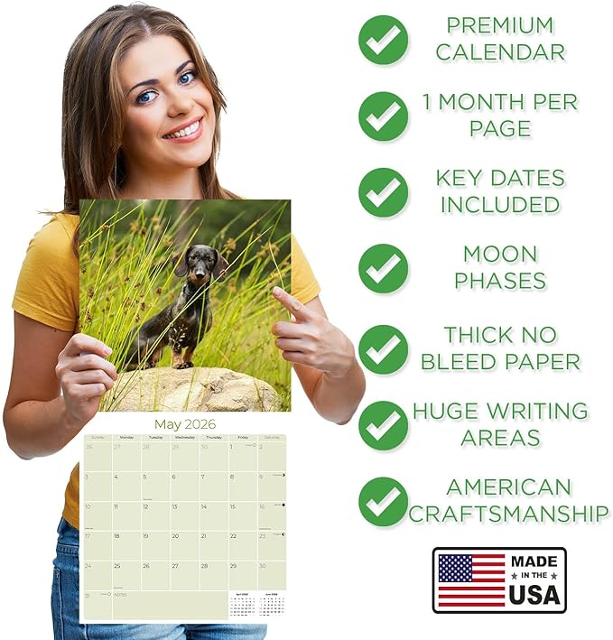 Wirehaired Dachshund Calendar 2026 by MegaCalendars – Monthly Dog Breed Wall Calendar, Made in USA