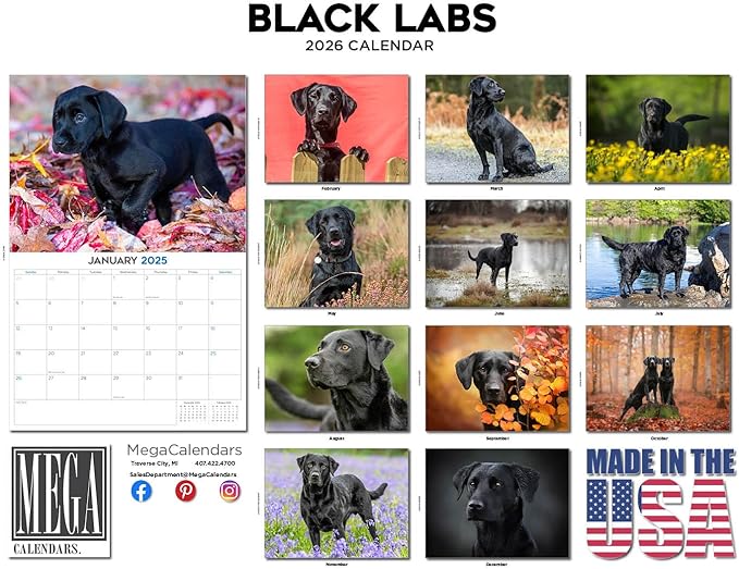 2025 2026 Labrador Black Calendar - Dog Breed Monthly Wall Calendar - 12" x 18" Open - Thick No-Bleed Paper - Giftable - Academic Teacher's Planner Calendar Organizing & Planning - Made in USA