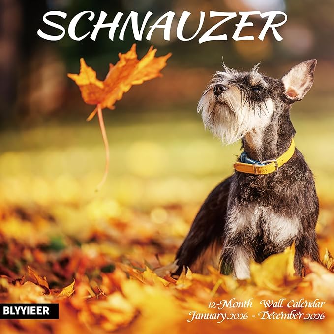 2026 Wall Calendar,Schnauzer Wall Calendar, 12" x 24" Open,Family Planner Calendar Organizer with Schnauzer Images, for Dogs Lovers