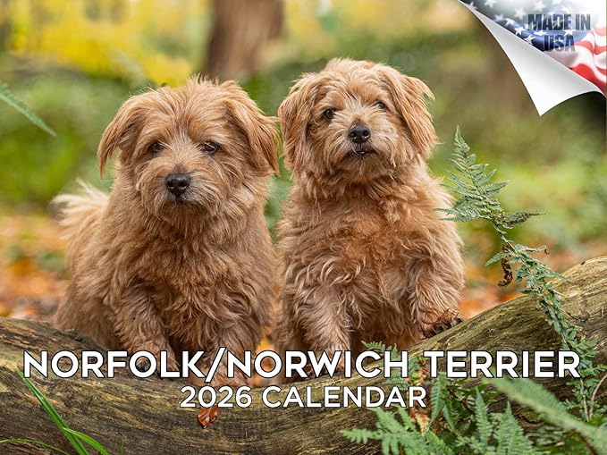 2025 2026 Norfolk/Norwich Calendar - Dog Breed Monthly Wall Calendar - 12" x 18" Open - Thick No-Bleed Paper - Giftable - Academic Teacher's Planner Calendar Organizing & Planning - Made in USA