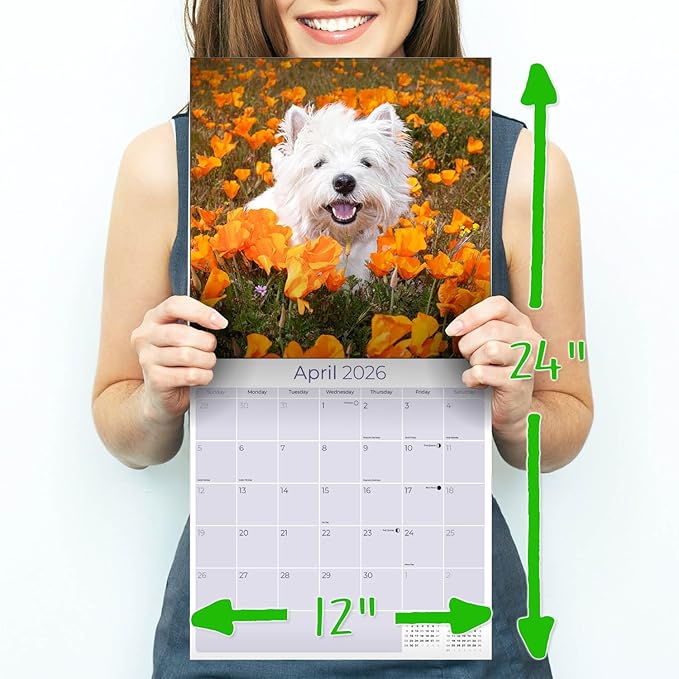 West Highland Terrier Calendar 2026 by MegaCalendars – Monthly Dog Breed Wall Calendar, Made in USA