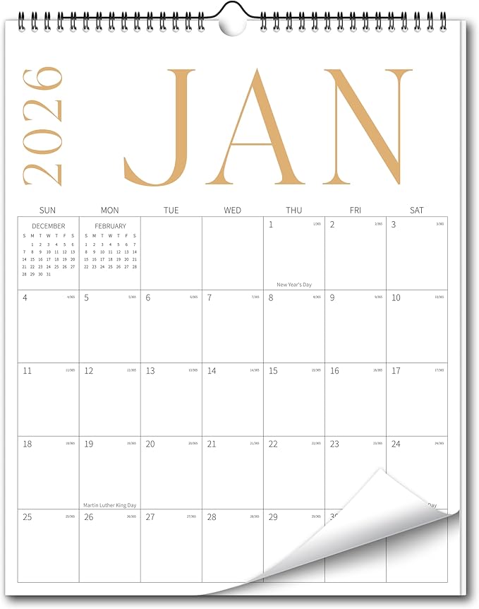 Aesthetic Wall Calendar 2026, 18 Monthly Vertical Calendar January 2026 to June 2027, 14.5" x 10.5" Modern Wall Hanging Calendar for School, Home, Office for Monthly Organizing & Planning