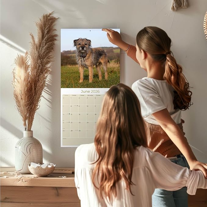Border Terrier Calendar 2026 by MegaCalendars – Monthly Dog Breed Wall Calendar, Made in USA