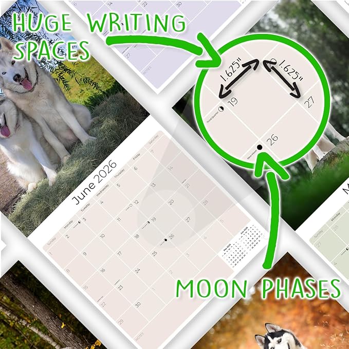 Siberian Husky Calendar 2026 – 16-Month Dog Breed Wall Calendar by MegaCalendars – Large Daily Blocks, Thick No-Bleed Paper, Made in USA