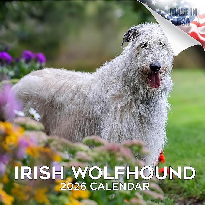 Irish Wolfhound Calendar 2026 by MegaCalendars – Monthly Dog Breed Wall Calendar, Made in USA