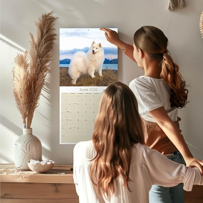 Samoyed Calendar 2026 by MegaCalendars – Monthly Dog Breed Wall Calendar, Made in USA