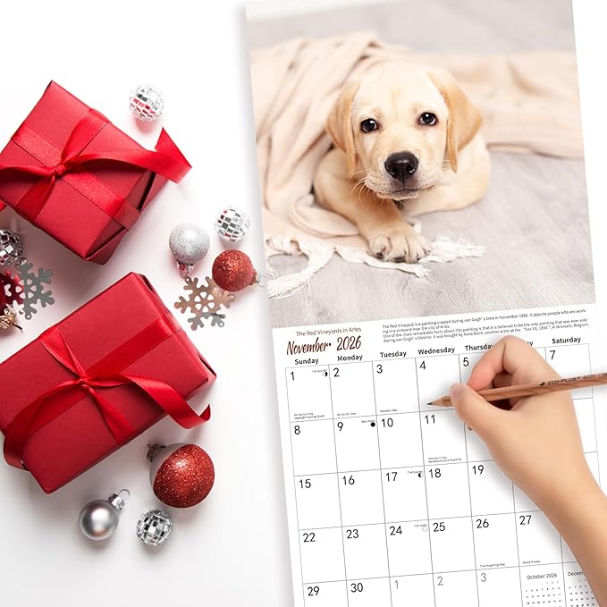 Lab Puppies 2026 Wall Calendar | 12" x 24" Open Hangable Monthly | Thick & Sturdy Paper | Cute Labrador Dog | Family Planner Calendar