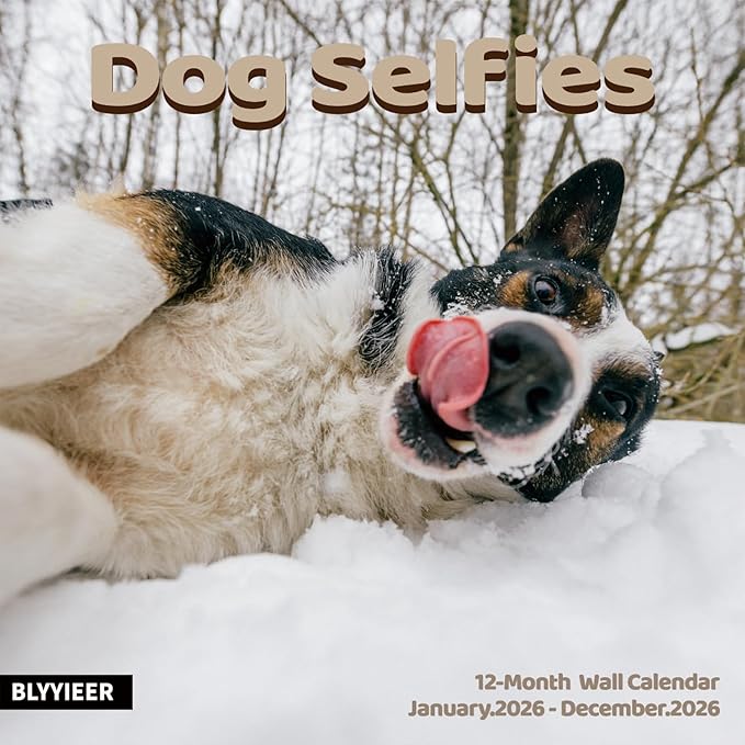 Dog Selfies 2026 Wall Calendar | 12" x 24" Open Hangable Monthly | Thick & Sturdy Paper | Funny Dogs | Family Planner Calendar
