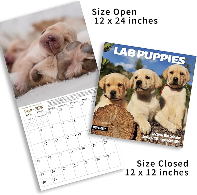 Lab Puppies 2026 Wall Calendar | 12" x 24" Open Hangable Monthly | Thick & Sturdy Paper | Cute Labrador Dog | Family Planner Calendar