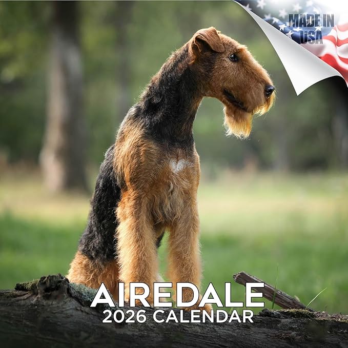 Airedale Calendar 2026 by MegaCalendars – Monthly Dog Breed Wall Calendar, Made in USA