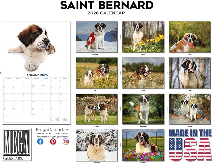 2025 2026 Saint Bernard Calendar - Dog Breed Monthly Wall Calendar - 12" x 18" Open - Thick No-Bleed Paper - Giftable - Academic Teacher's Planner Calendar Organizing & Planning - Made in USA