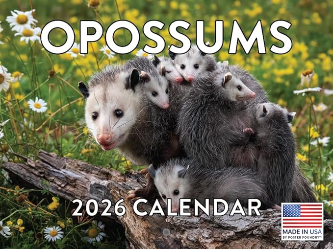 Opossum Calendar 2026 Wall 12 Month Opossums Gifts For Opossum Lovers Women Men Monthly Calender| American Made In The USA