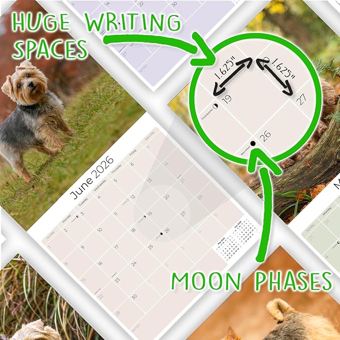 2025 2026 Norfolk/Norwich Calendar - Dog Breed Monthly Wall Calendar - 12" x 24" Open - Thick No-Bleed Paper - Giftable - Academic Teacher's Planner Calendar Organizing & Planning - Made in USA
