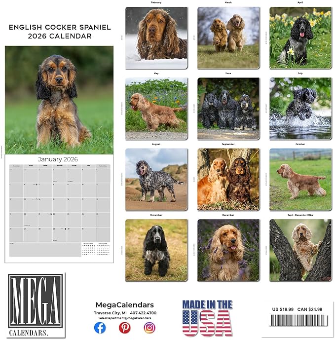 English Cocker Spaniel Calendar 2026 by MegaCalendars – Monthly Dog Breed Wall Calendar, Made in USA