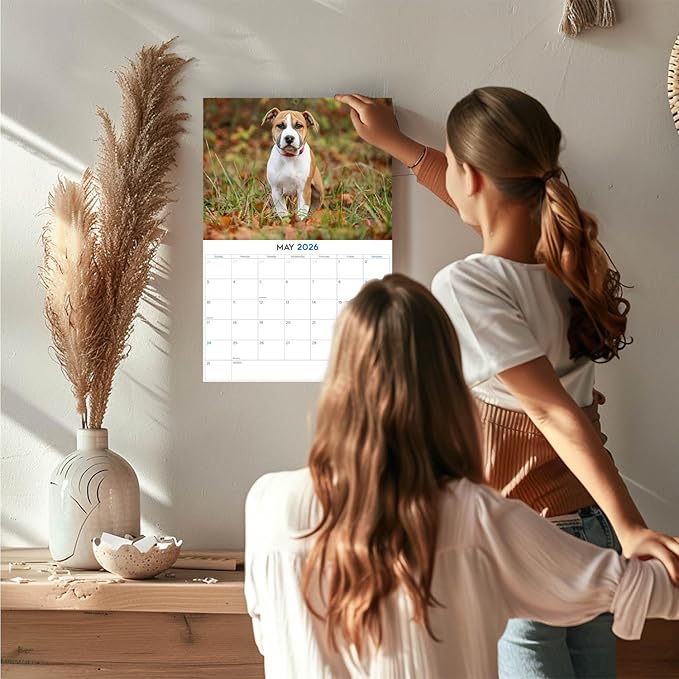2025 2026 American Staffordshire Terrier Calendar - Dog Breed Monthly Wall Calendar - 12" x 18" Open - Thick No-Bleed Paper - Giftable - Academic Teacher's Planner Calendar Organizing & Planning - Made in USA