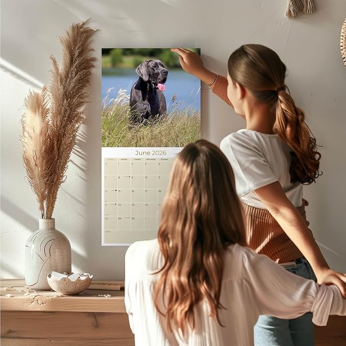 Great Dane Calendar 2026 – 16-Month Dog Breed Wall Calendar by MegaCalendars – Large Daily Blocks, Thick No-Bleed Paper, Made in USA